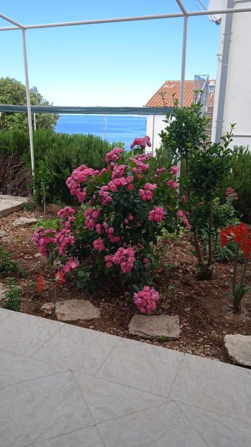 Apartment Ante Ražanj المظهر الخارجي الصورة